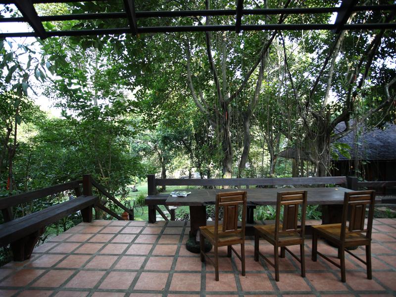 Top hostels in Chiang Mai Viva Chiang Mai HomeStay (1)