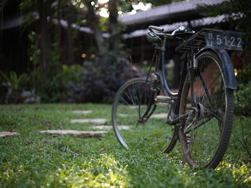 Top hostels in Chiang Mai Viva Chiang Mai HomeStay (5)