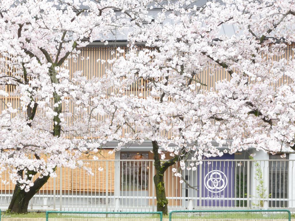 Best hostels in Osaka Japan Hostel Mitsuwaya (1)