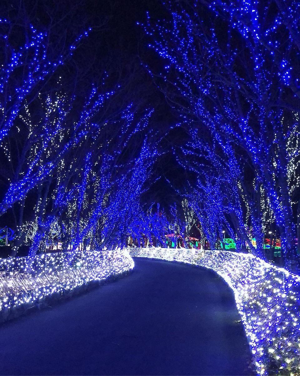 Busan things to do at night for couple Illumia (1)