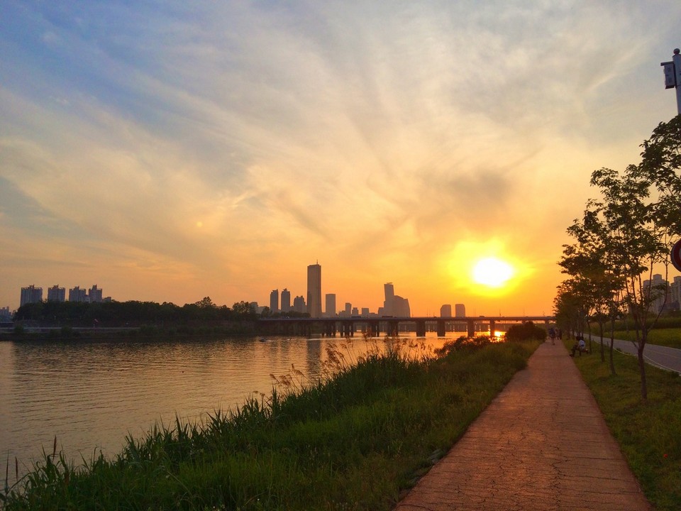 seoul han river picnic,sunset,night (9)