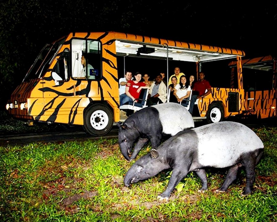 Top places to visit in Chiang Mai Chiang Mai Night Safari (1)