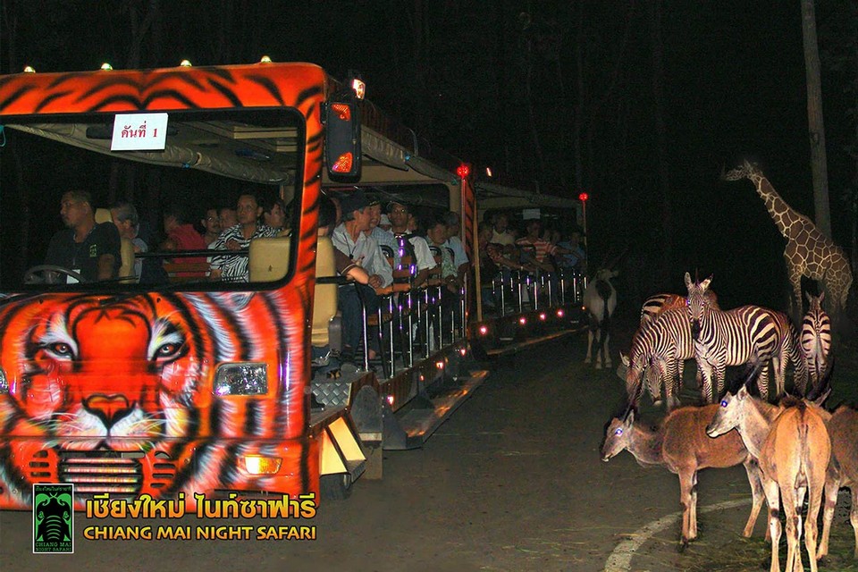 Top places to visit in Chiang Mai Chiang Mai Night Safari (3)