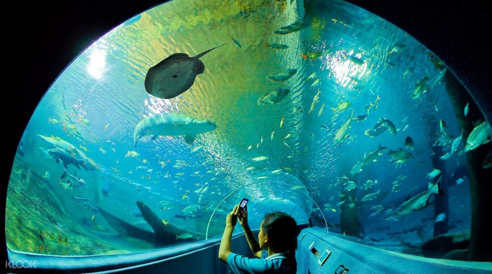 Top places to visit in Chiang Mai Chiang Mai Zoo Aquarium (3)