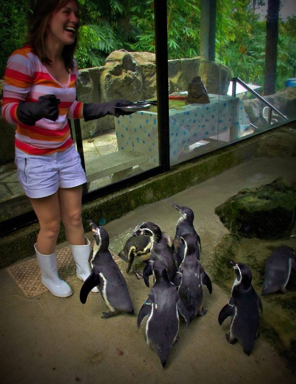 Top places to visit in Chiang Mai Chiang Mai Zoo Aquarium (5)