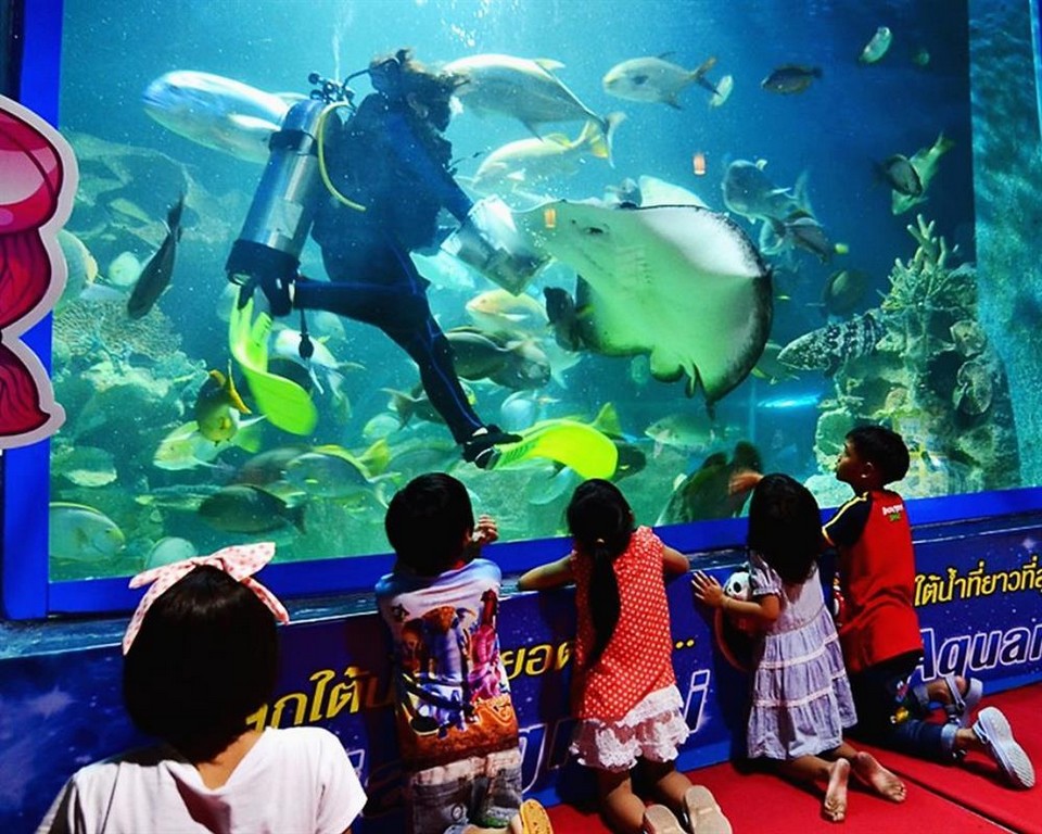 Top places to visit in Chiang Mai Chiang Mai Zoo Aquarium (6)