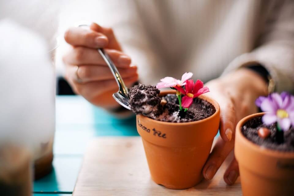 seoul unique cafe