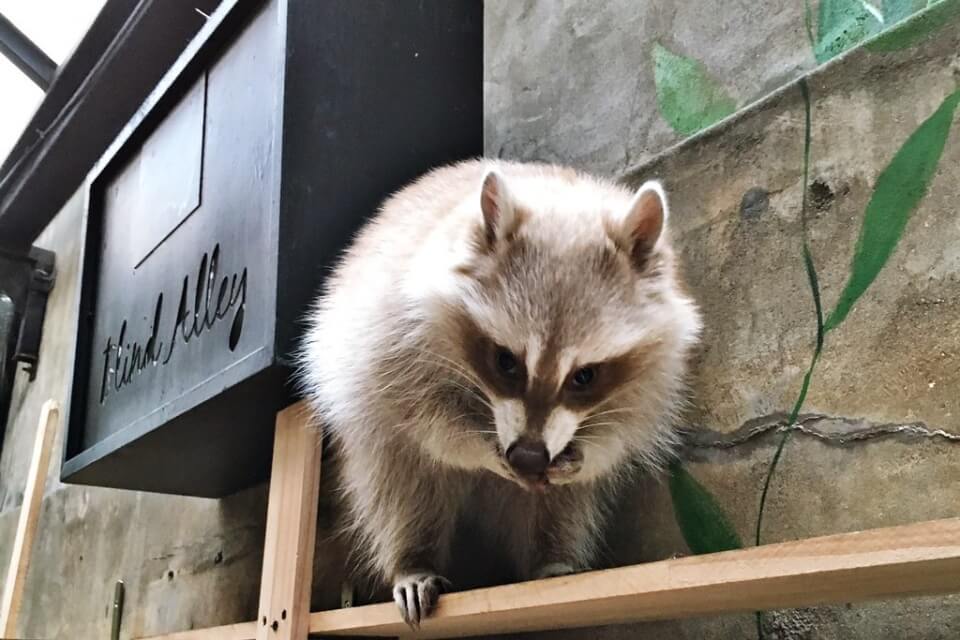 seoul unique cafe