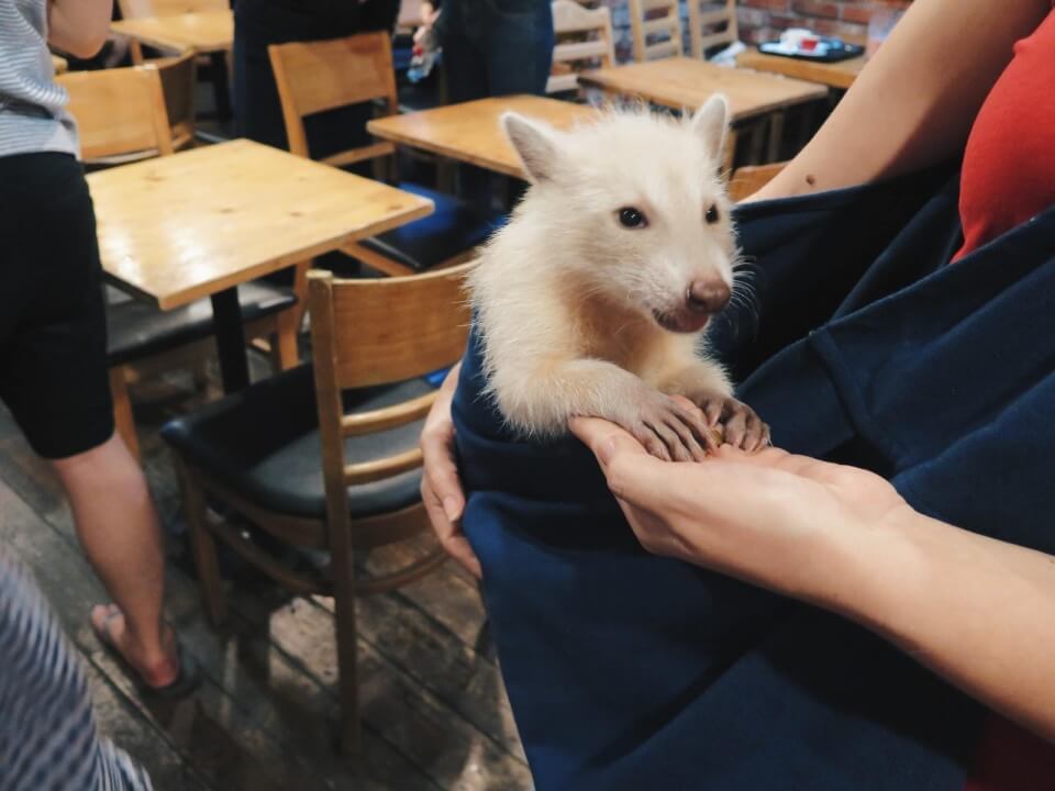 seoul unique cafe