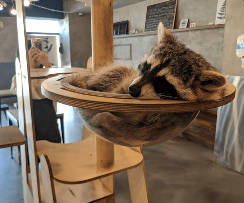 seoul unique cafe