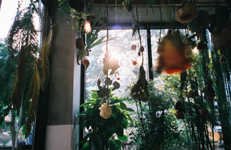 seoul unique cafe