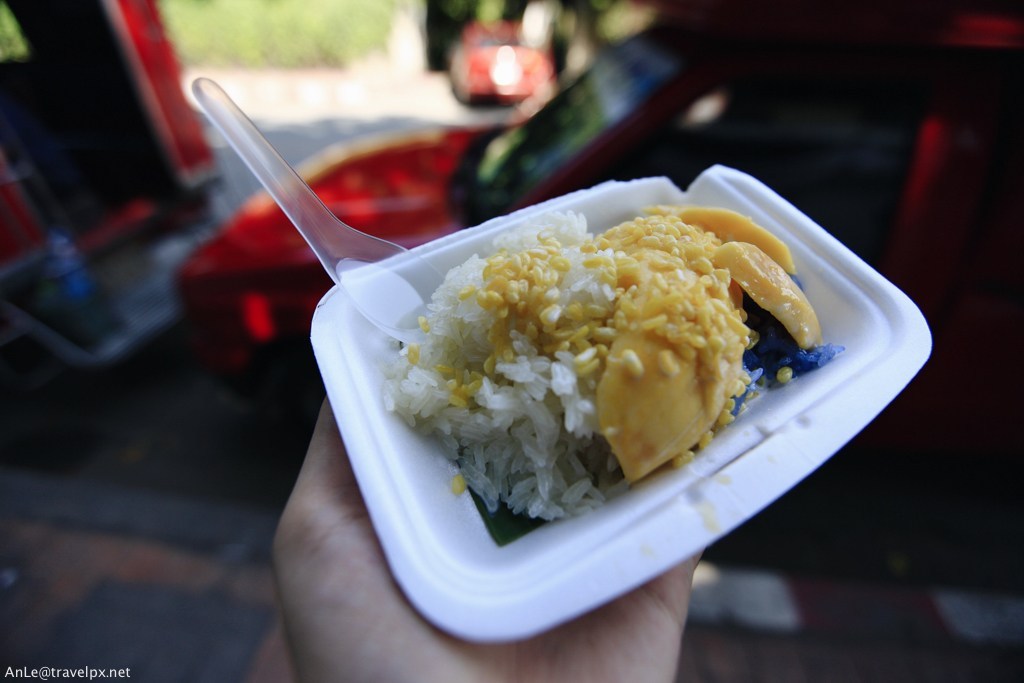 mango sticky rice chiang mai (1)