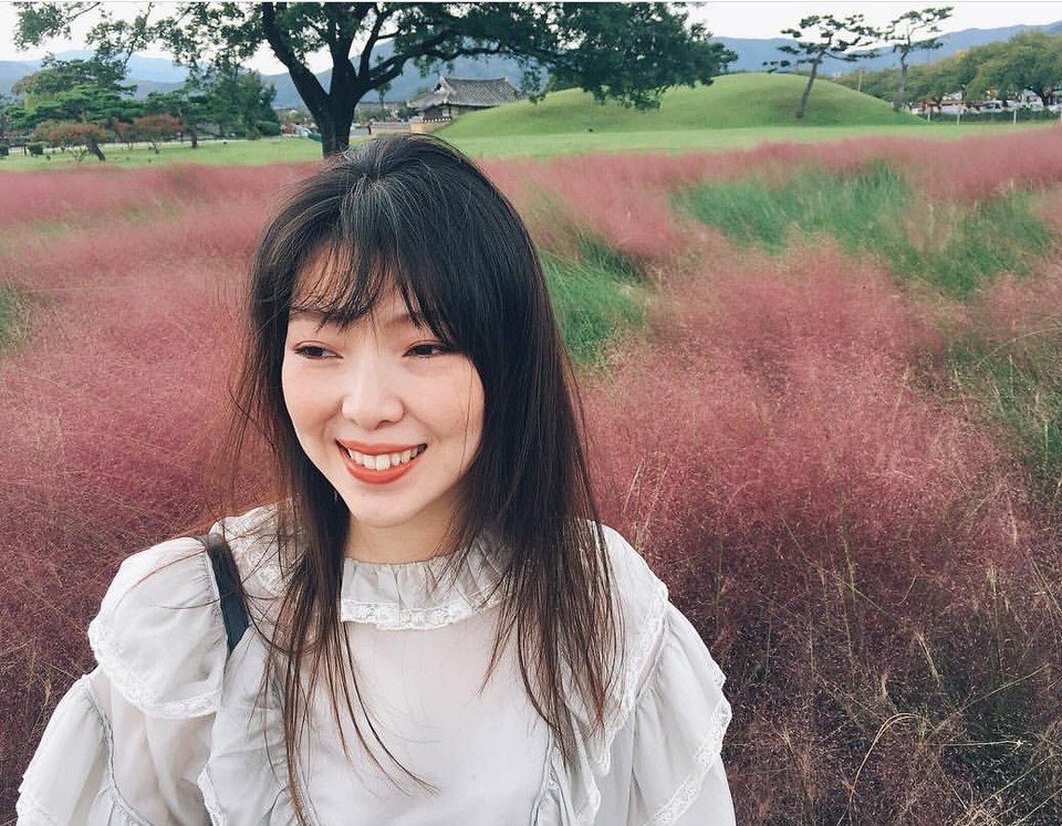 Cheomseongdae muhly pink grass (1)