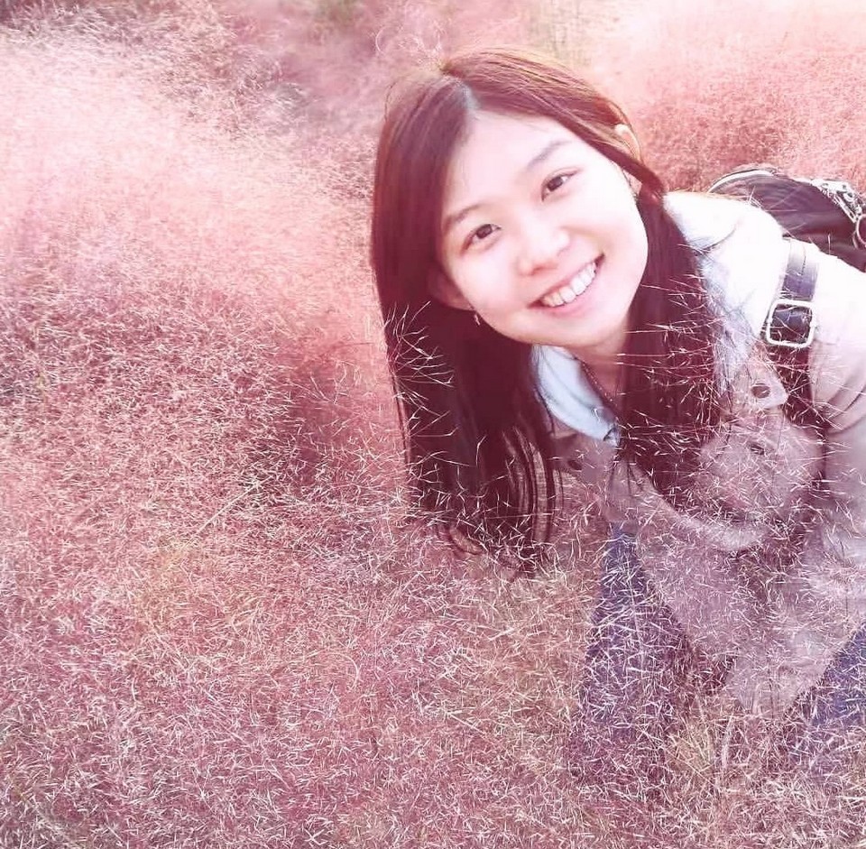 Daejeo Ecological Park pink grass (1)