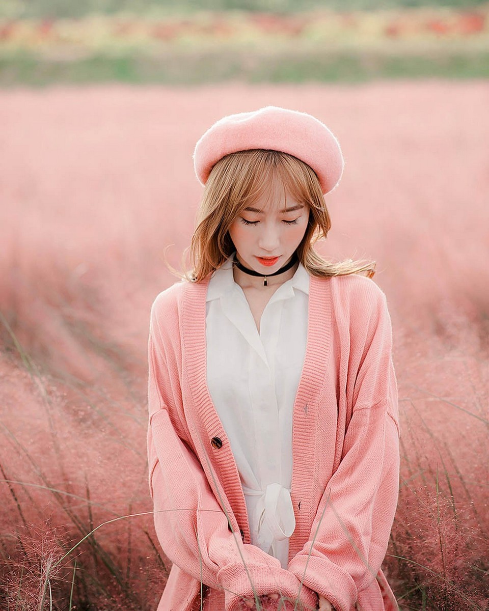 Daejeo Ecological Park pink grass (1)