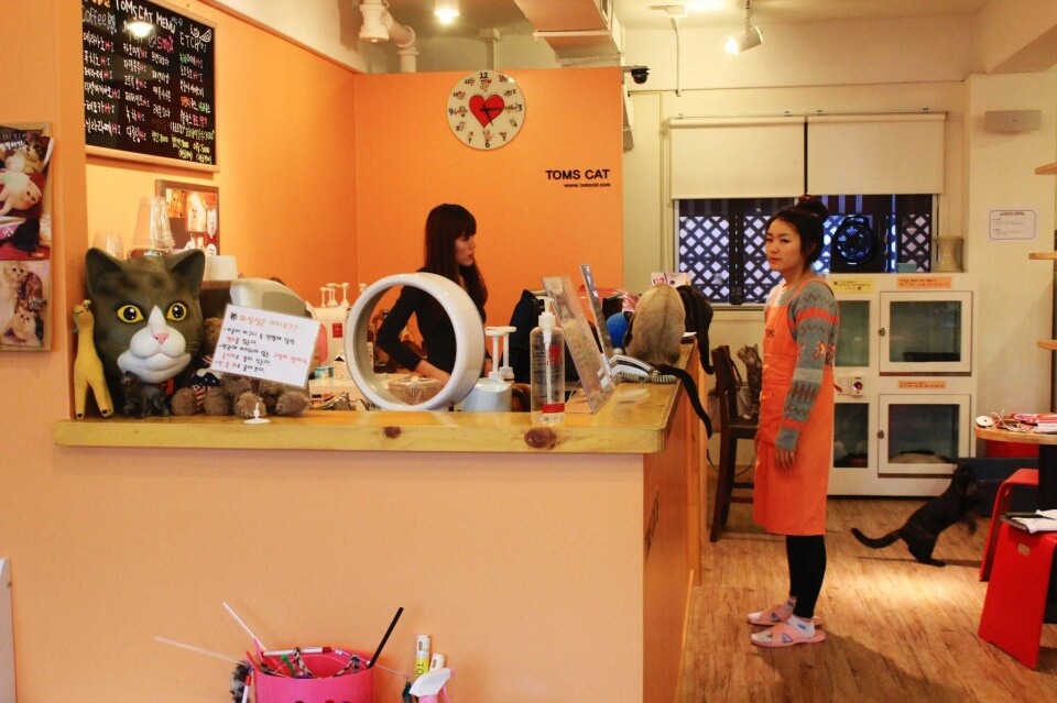 seoul theme cafe| cute cafes in seoul