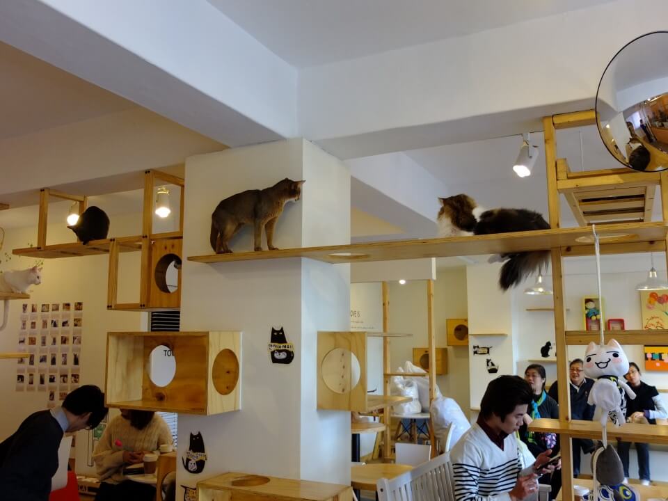 seoul theme cafe