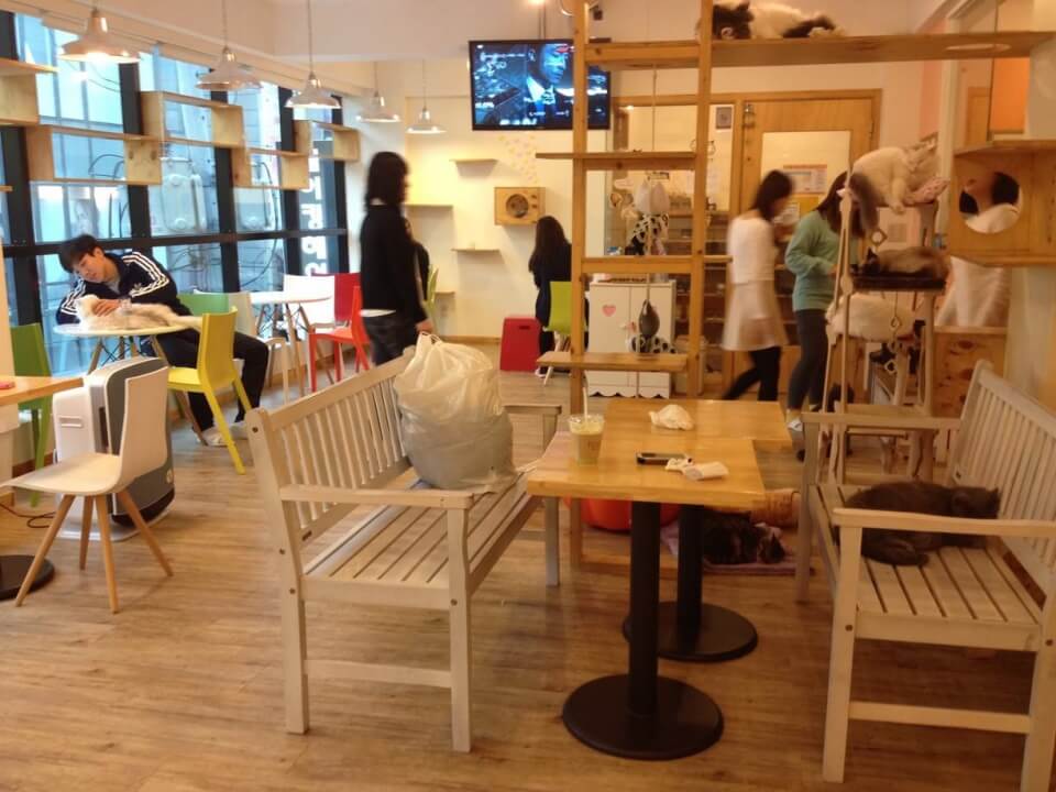 seoul theme cafe