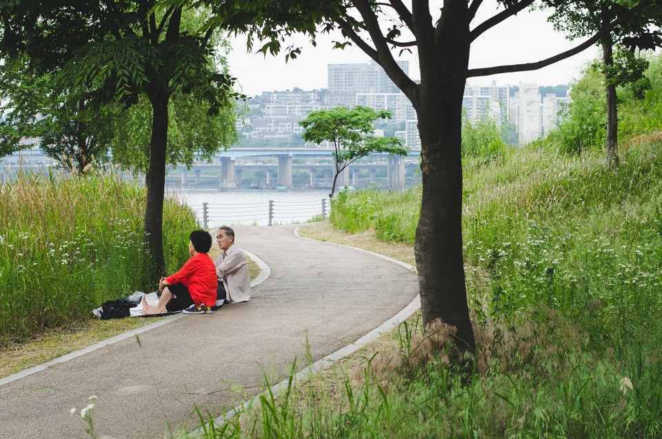 Seoul Forest