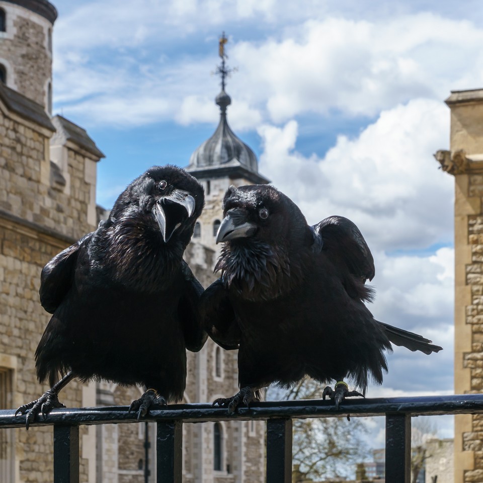 Best places to visit in London Tower of London (1)