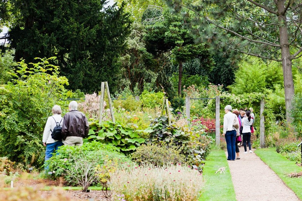 Must see places in London Chelsea Physic Garden (7)