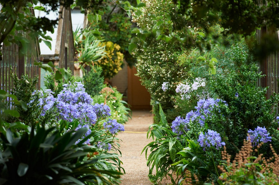 Must see places in London Chelsea Physic Garden (7)