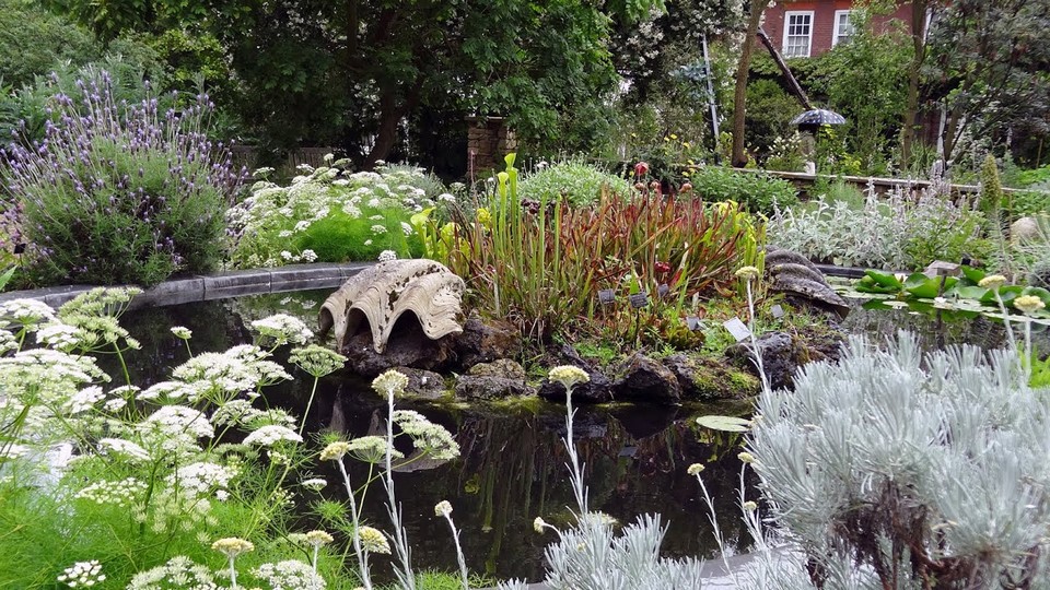 Must see places in London Chelsea Physic Garden (7)