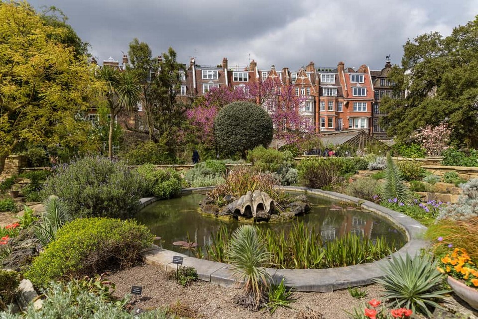 Must see places in London Chelsea Physic Garden (7)