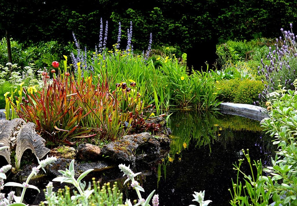 Must see places in London Chelsea Physic Garden (7)