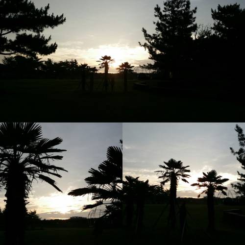 Cheap guesthouse in Jeju island Jun House (1)