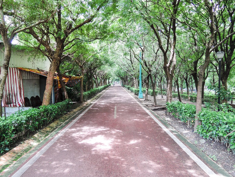 Dongfeng Bicycle Green Way Green Corridor and Hou-Feng bike path (3)