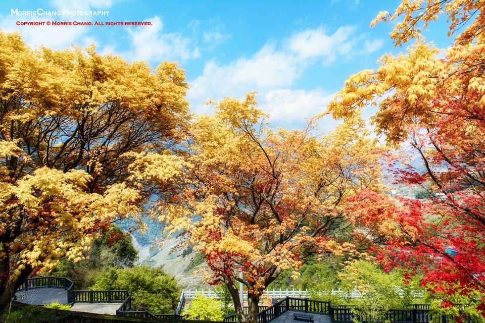 Must visit places in Taichung Lishan Scenic Area (1)