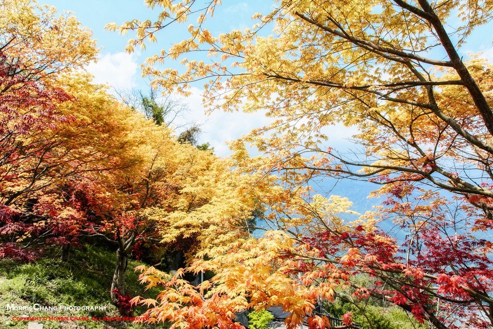 Must visit places in Taichung Lishan Scenic Area (2)
