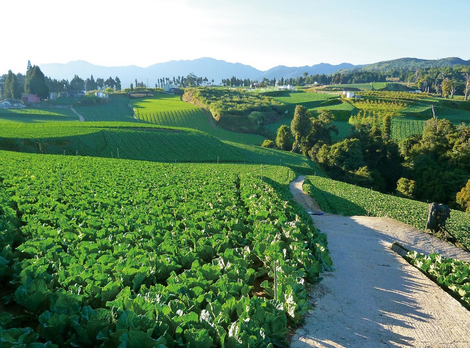 Must visit places in Taichung Lishan Scenic Area (3)
