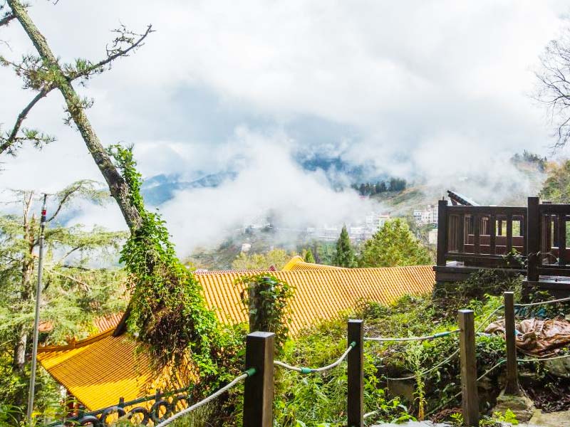 Must visit places in Taichung Lishan Scenic Area (6)