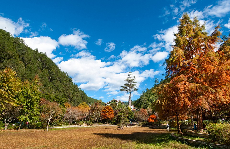 Must visit places in Taichung Lishan Scenic Area (7)