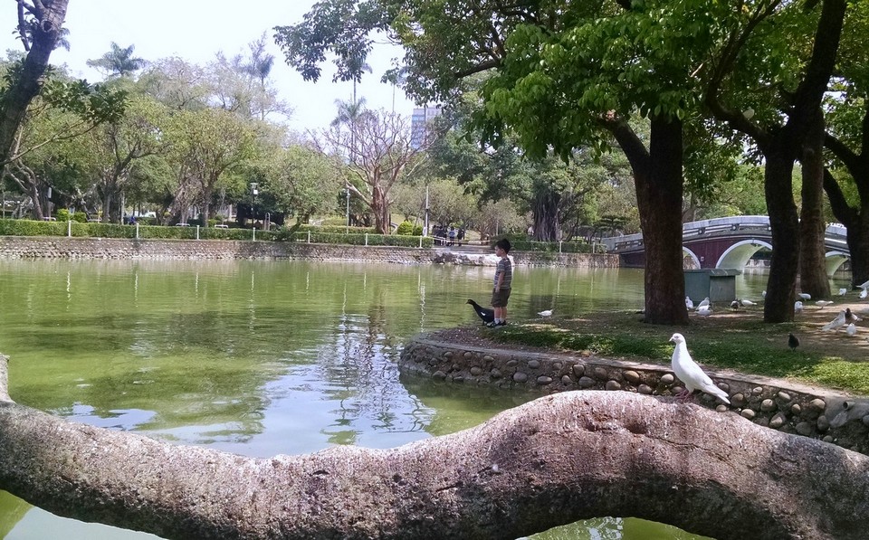 taichung park (2)