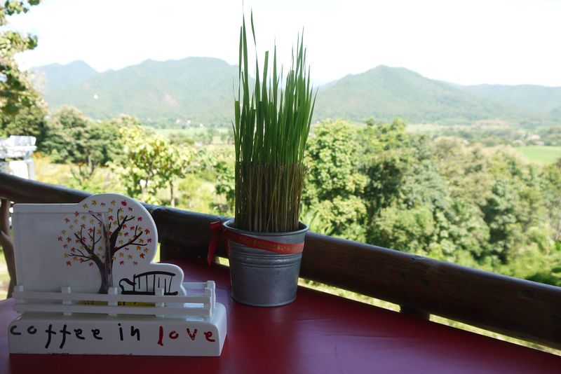 Coffee-In-Love (7)