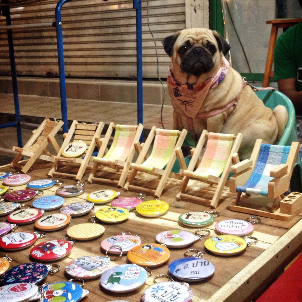 Explore the Pai night market (1)