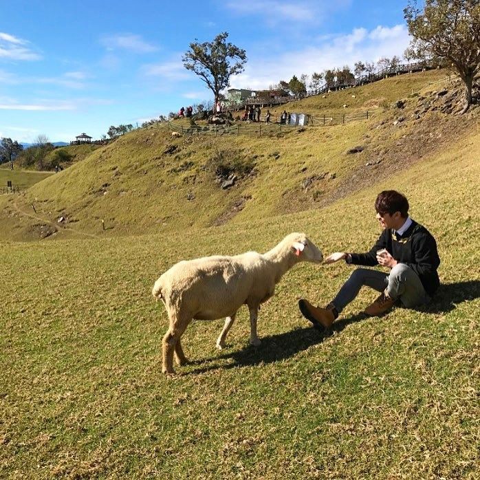 Cingjing Farm (1)
