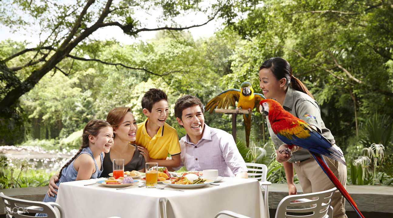 LunchwithParrots