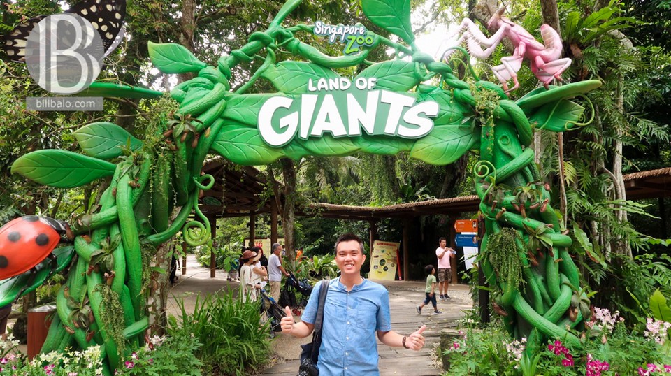 singapore-zoo