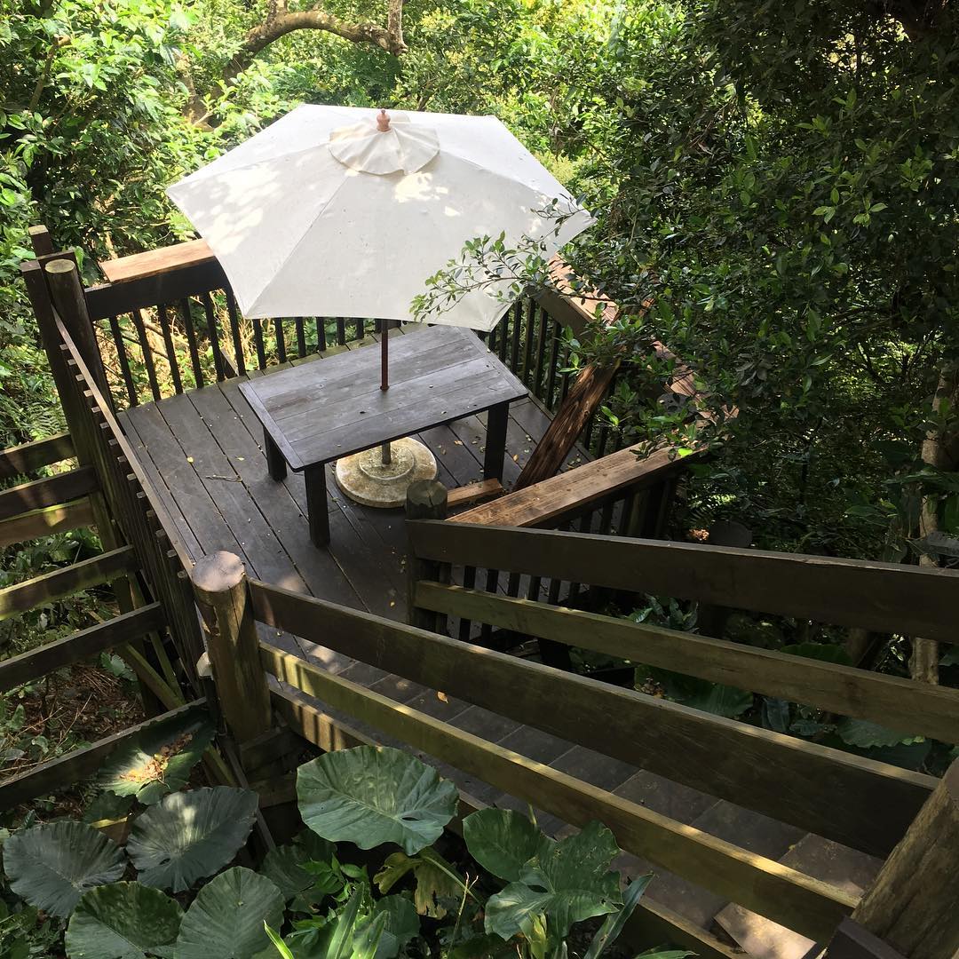 Best cafes in Okinawa Fuyu Café (1)