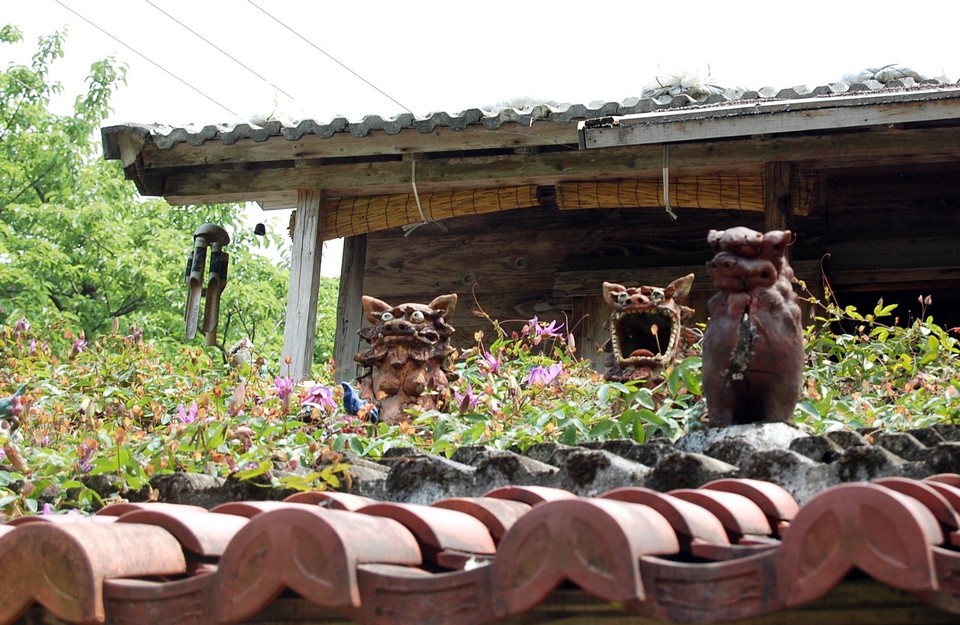 Best cafes in Okinawa Yachimun Kissa Shisa-en (Yachimun café) (1)