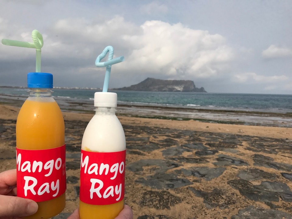 Mango Ray (1)