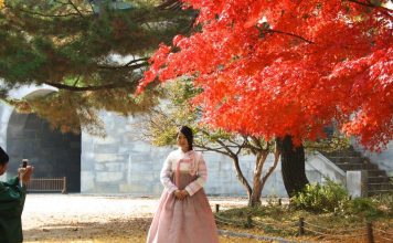 Seoul Busan itinerary blog — How to spend 7 days Seoul Busan itinerary in South Korea perfectly?
