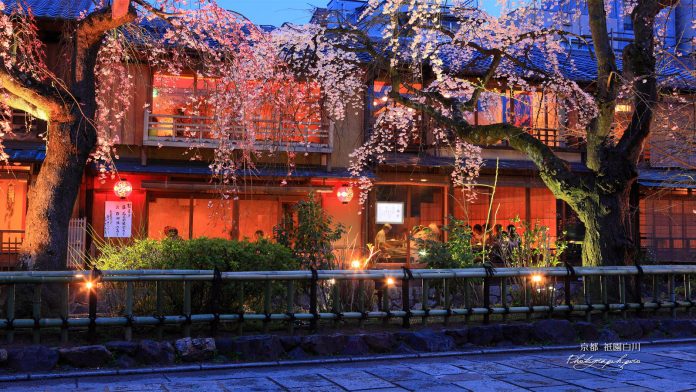 japan 7 days