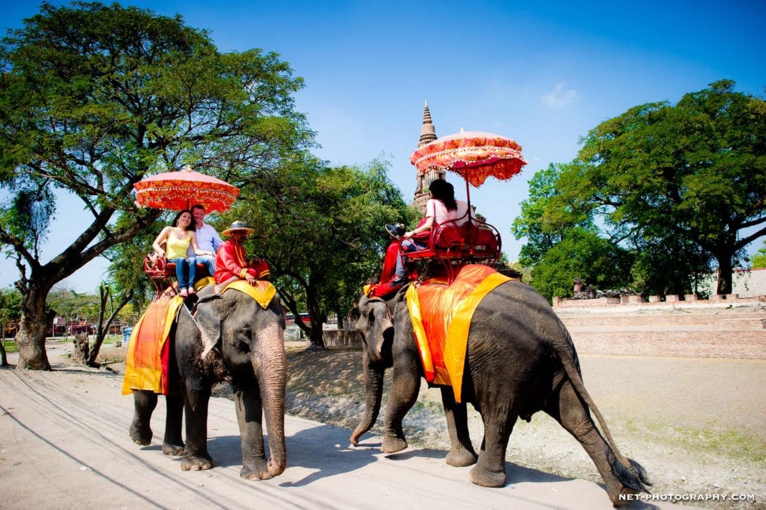 Ayutthaya Elephantstay