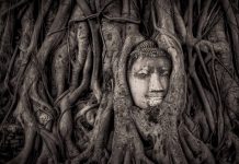 Ayutthaya travel blog — The fullest Ayutthaya travel guide & How to visit Ayutthaya in a day?