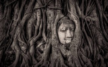 Ayutthaya travel blog — The fullest Ayutthaya travel guide & How to visit Ayutthaya in a day?